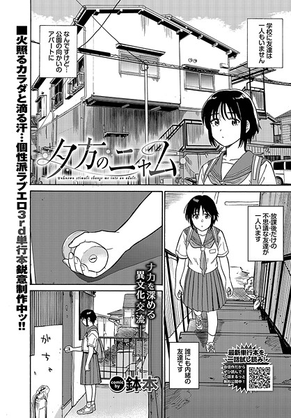 【エロ】夕方のニャム b472abnen03301 文苑堂
